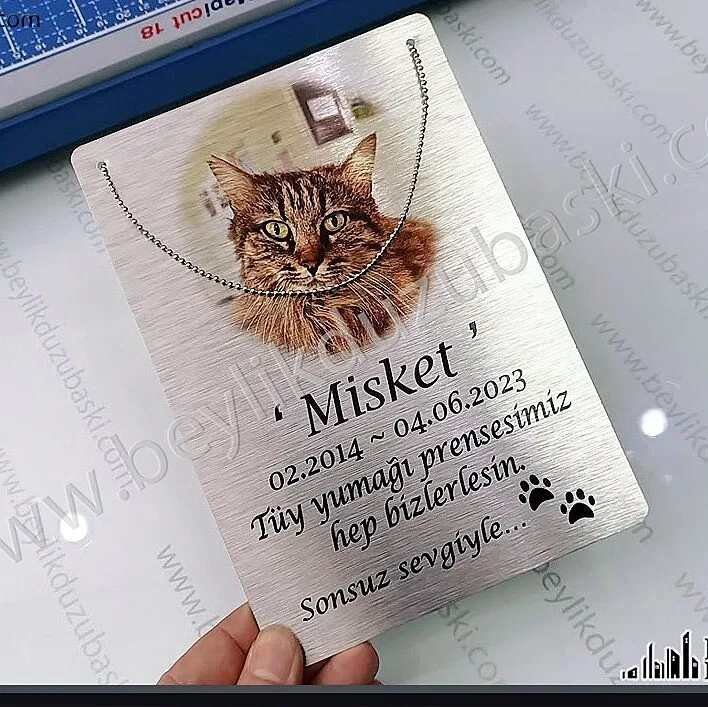 kedi mezar başlığı, ölen kedi için, resim ve tarih baskılı, zincirli tabela, metal hayvan mezarı tabelası, kedi köpek, evcil hayvan mezar isimliği, ağaç üzerine asma yapılabilir, zincirli tabela